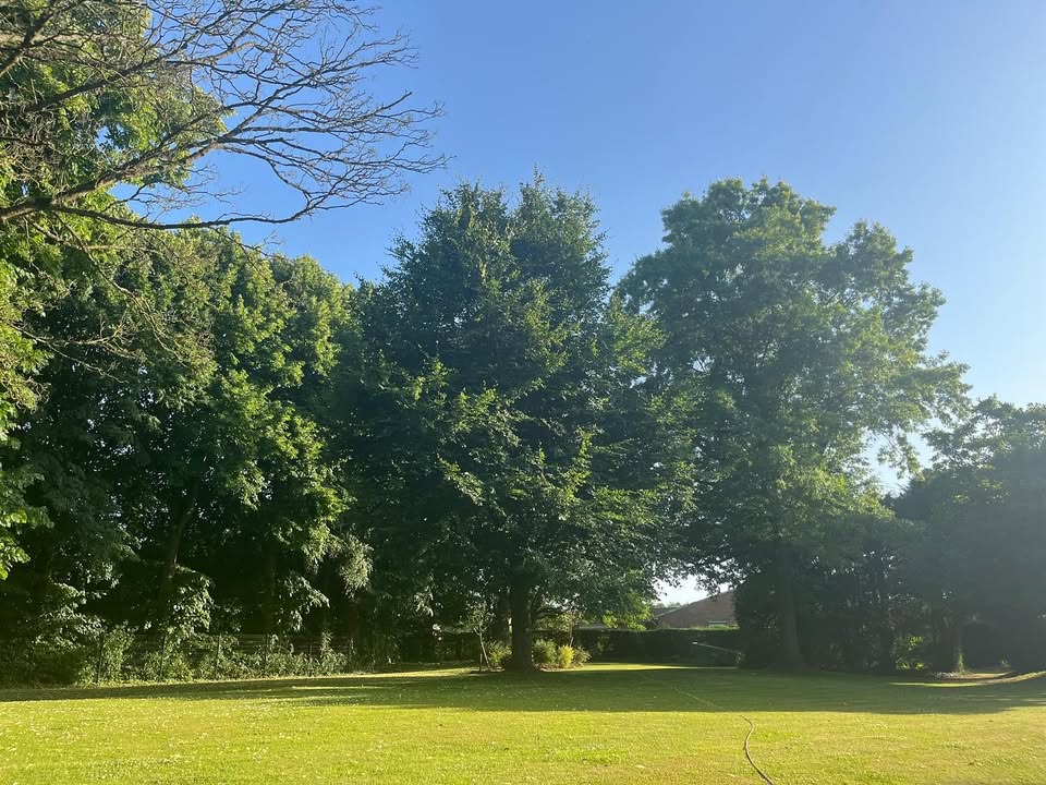 Florence Destombes Immobilier